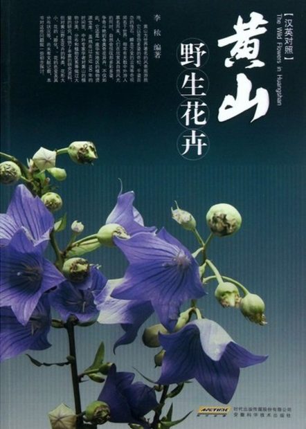 The Wild Flowers in Huangshan