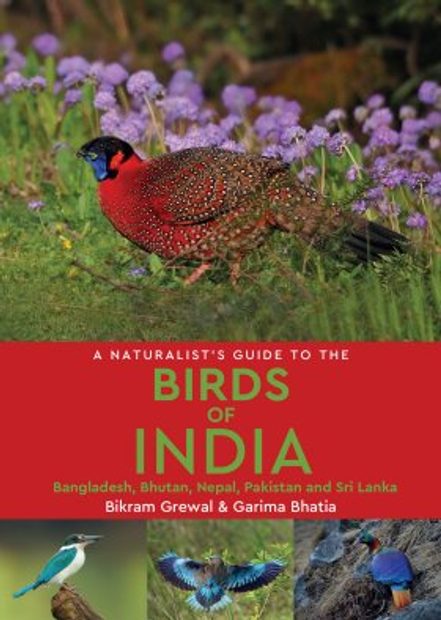 A Naturalist's Guide to the Birds of India