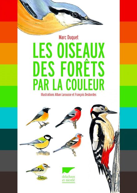 Les Oiseaux des Forêts par la Couleur