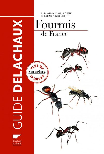 Fourmis de France, de Belgique et du Luxembourg [The Ants of France, Belgium, and Luxembourg]