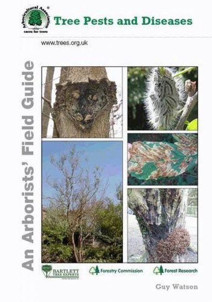 Tree Pests and Diseases