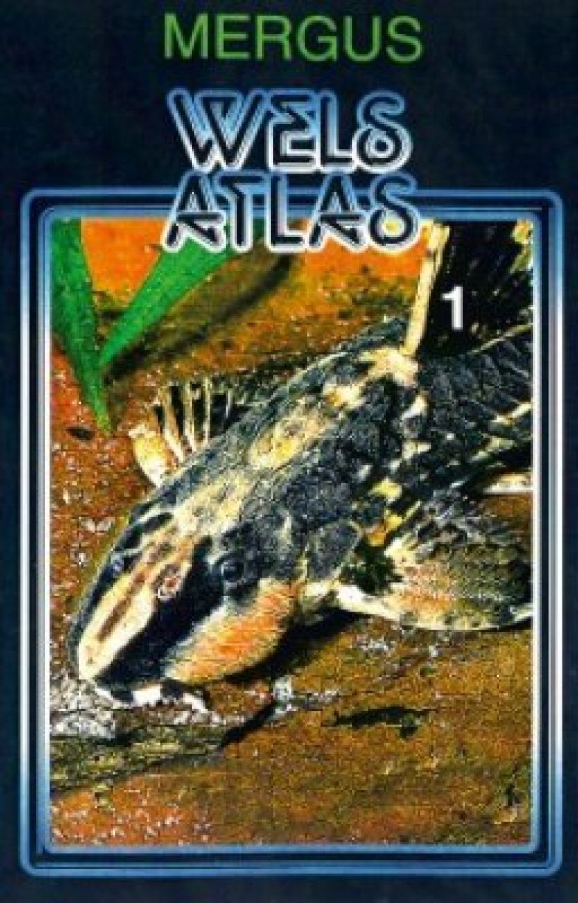 洋書　MERGUS wels Atlas 1 ナマズ Wels Atlas, Band 1 [Catfish Atlas, Volume 1] | NHBS Academic