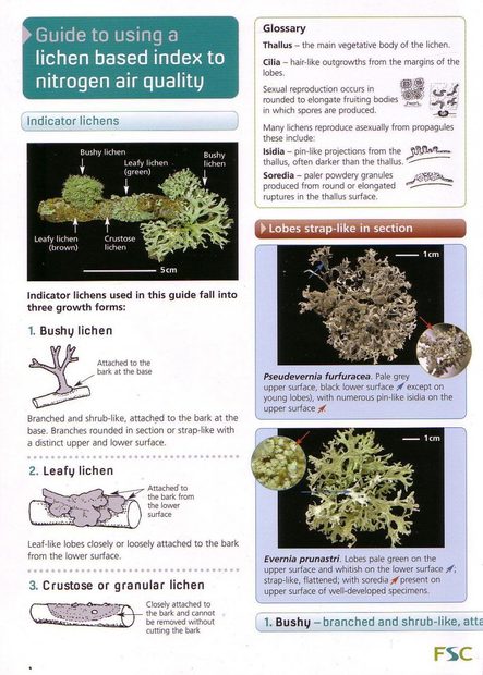 Guide to Using a Lichen Based Index to Nitrogen Air Quality