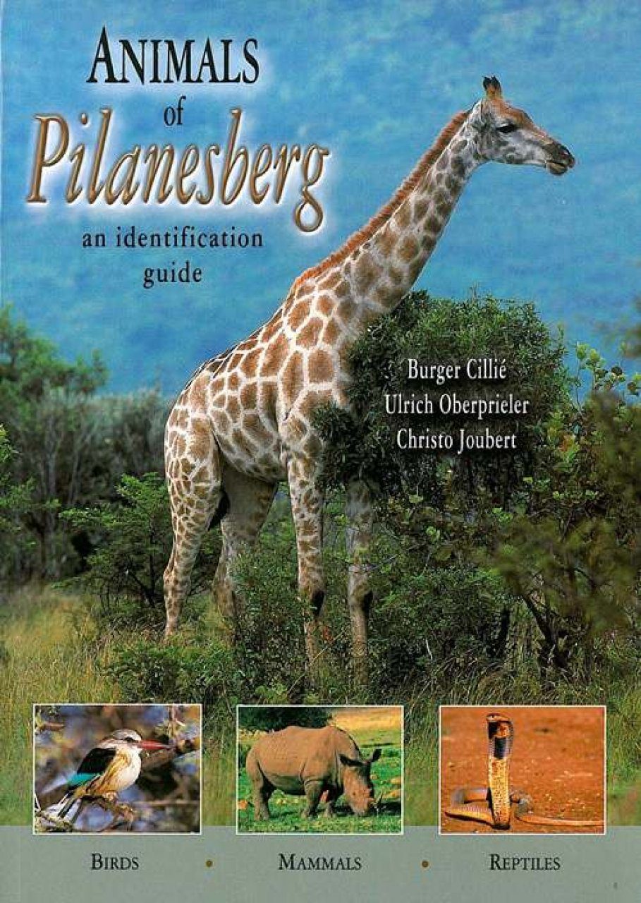 Animals of Pilanesberg: An Identification Guide | NHBS Field Guides &  Natural History