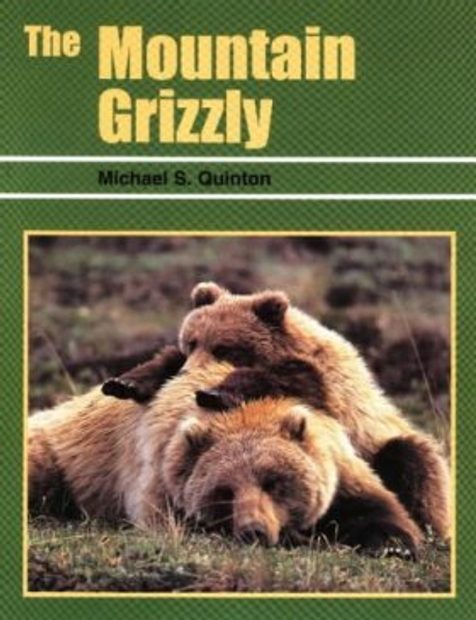 The Mountain Grizzly