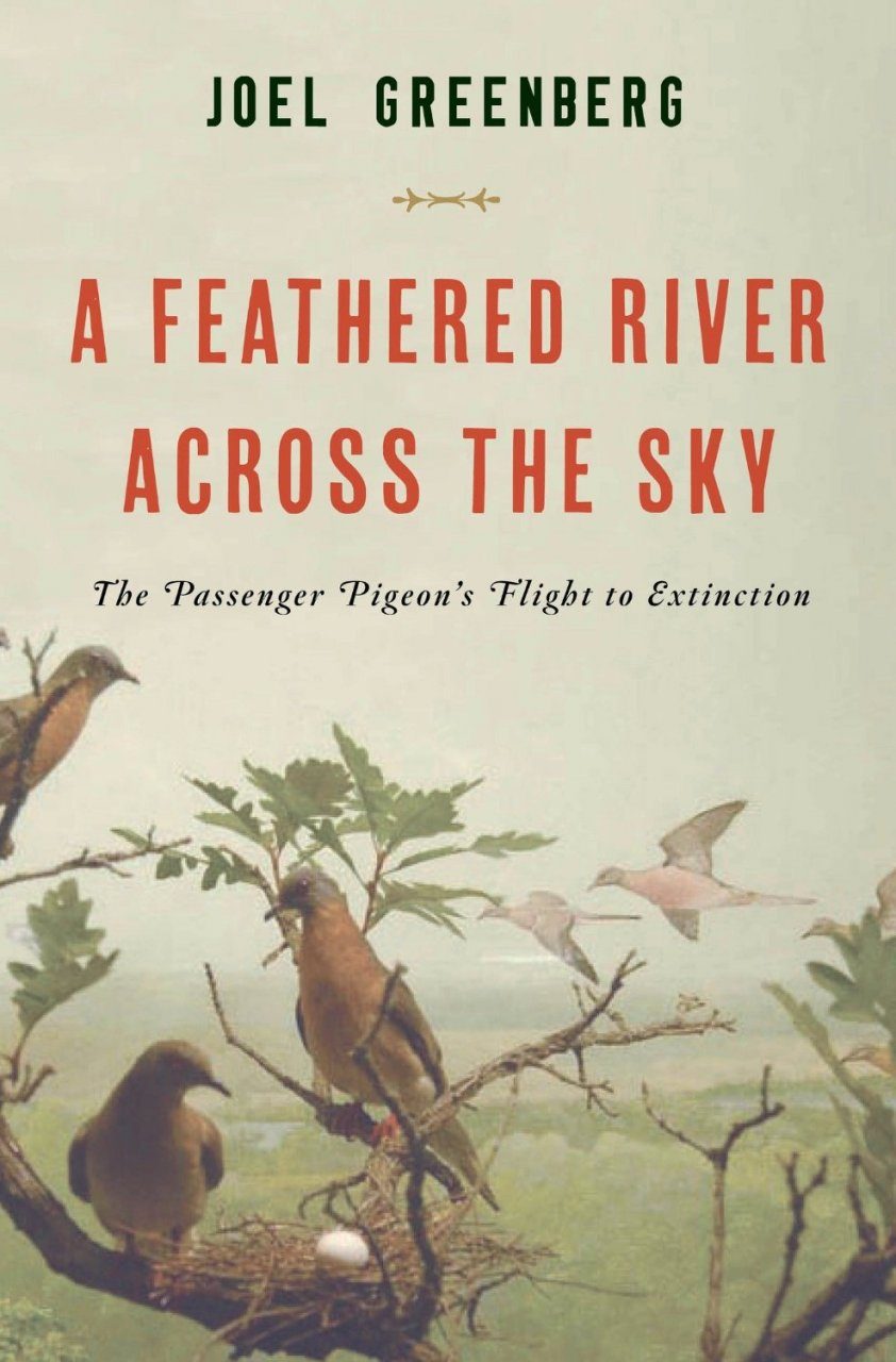 The　River　Pigeon's　Flight　Sky:　Extinction　the　Across　Passenger　A　to　Good　Feathered　NHBS　Reads