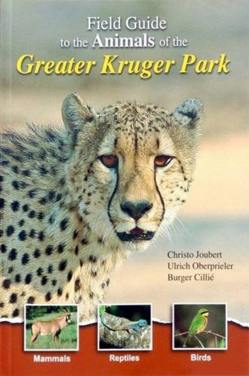 Field Guide to the Animals of the Greater Kruger Park | NHBS Field Guides &  Natural History