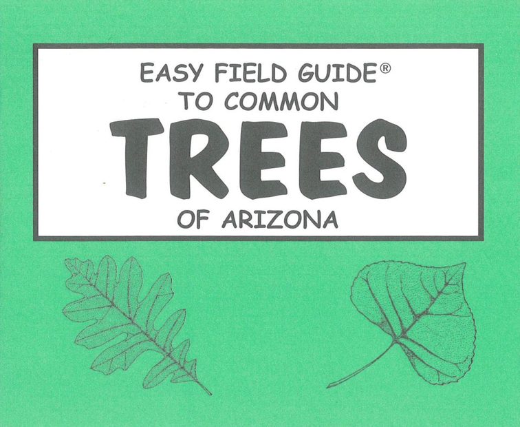 Easy Field Guide to Common Trees of Arizona