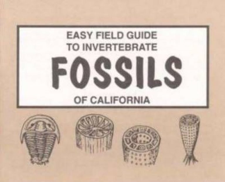 Easy Field Guide to Invertebrate Fossils of California NHBS Field