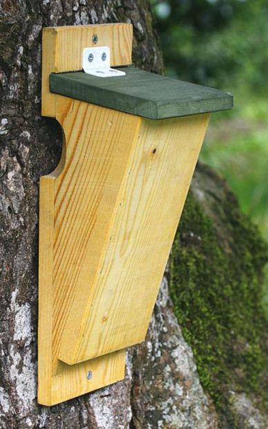 Vivara Pro Treecreeper Nest Box