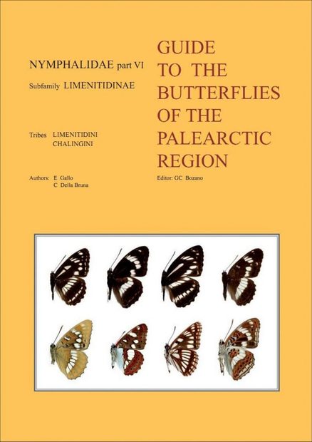 Nymphalidae Part 6 (Guide to the Butterflies of the Palearctic Region)