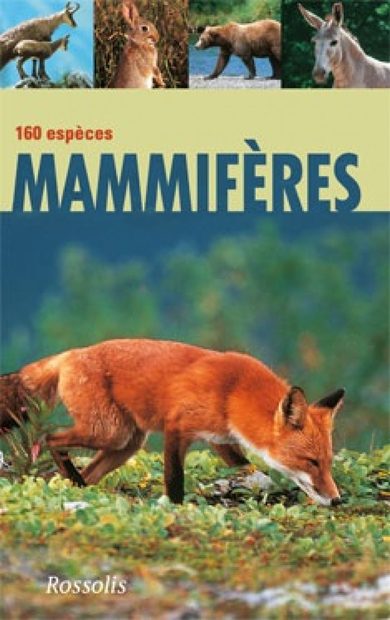 Mammifères