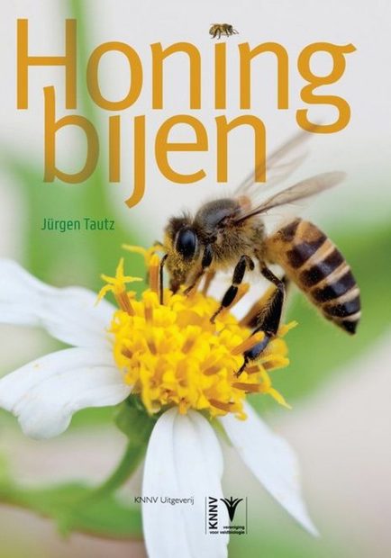 Honingbijen