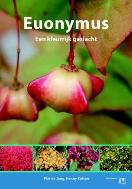 Euonymus: Een Kleurrijk Geslacht [Euonymus: A Colourful Genus]