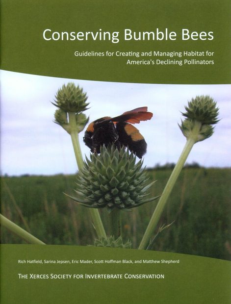 Conserving Bumble Bees