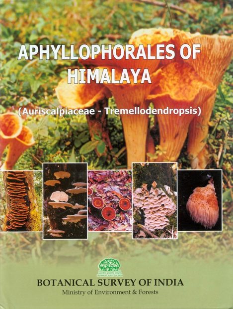 Aphyllophorales of Himalaya