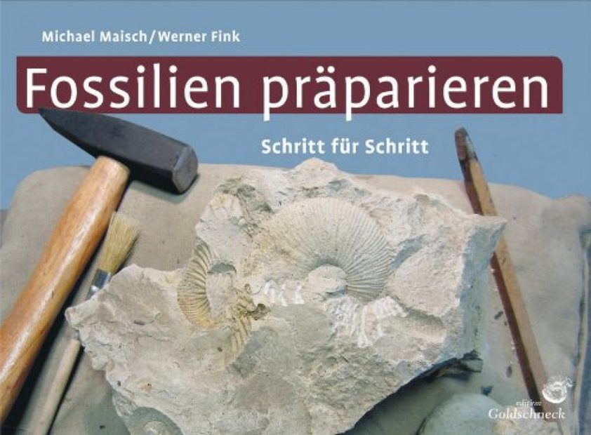 Fossilien Präparieren