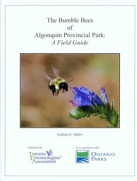 The Bumble Bees of Algonquin Provincial Park