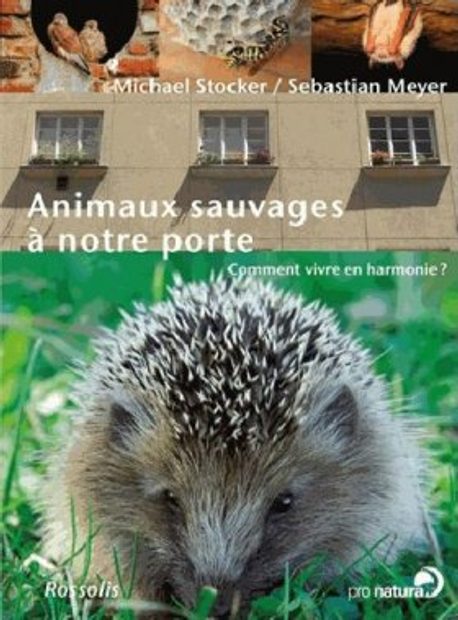 Animaux Sauvages à Notre Porte