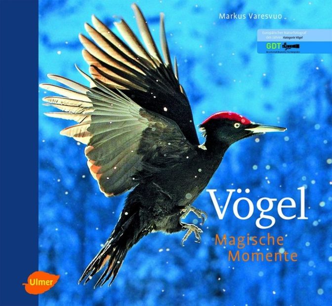 Vögel: Magische Momente