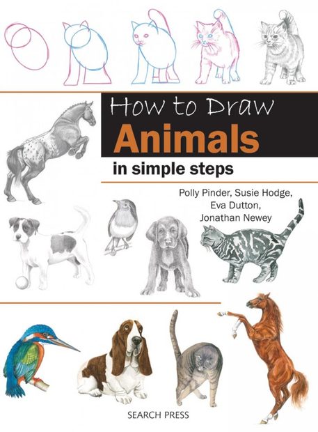 How to Draw Animals