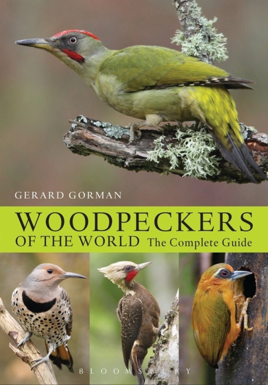 Woodpeckers Of The World The Complete Guide Nhbs Field Guides Natural History