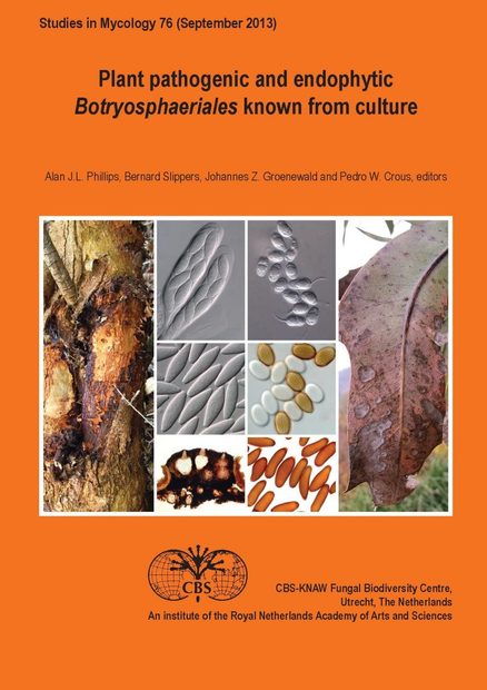 Plant Pathogenic and Endophytic Botryosphaeriales Known From Culture