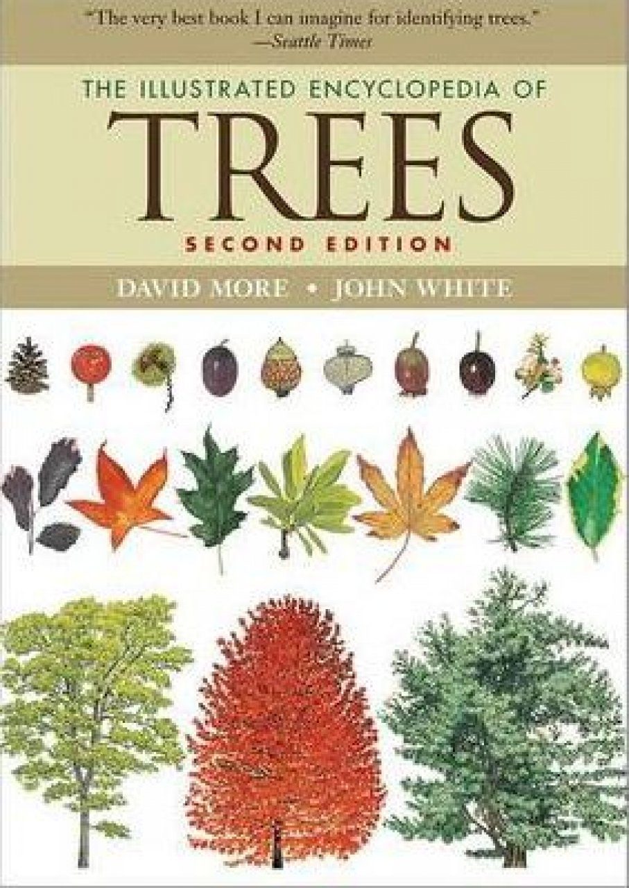 The Illustrated Encyclopedia of Trees NHBS Academic & Professional Books