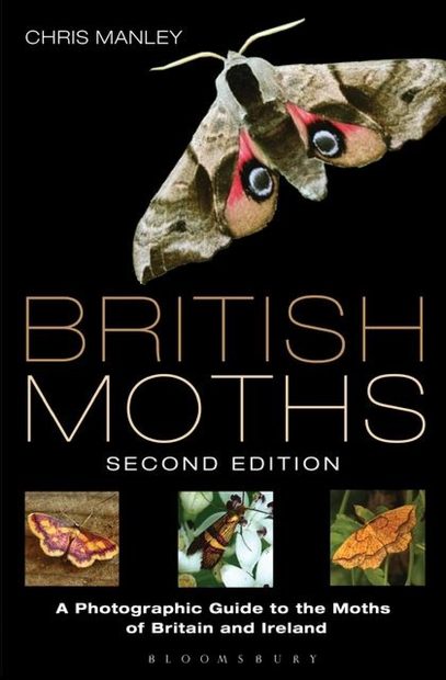 British & Irish Moths