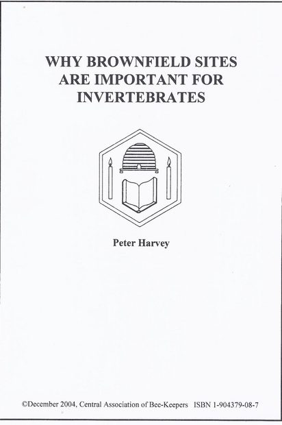 Why Brownfield Sites are Important for Invertebrates