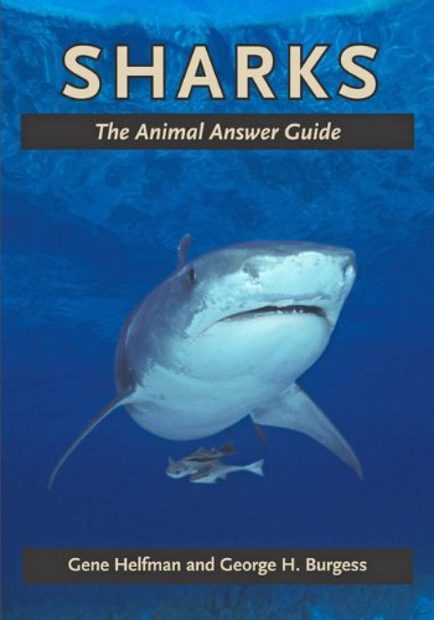 Sharks: The Animal Answer Guide