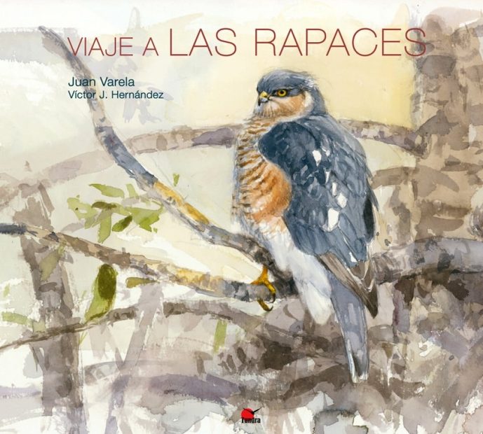 Viaje a las Rapaces [Journey of the Raptors]