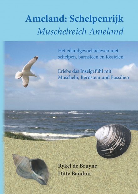 Ameland: Schelpenrijk / Muschelreich Ameland