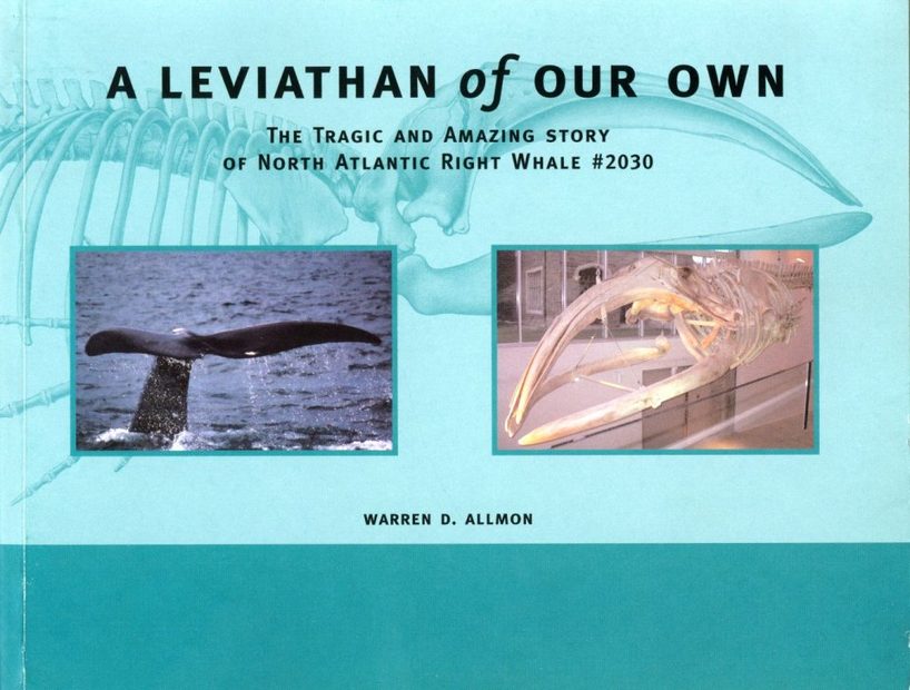 A Leviathan of Our Own