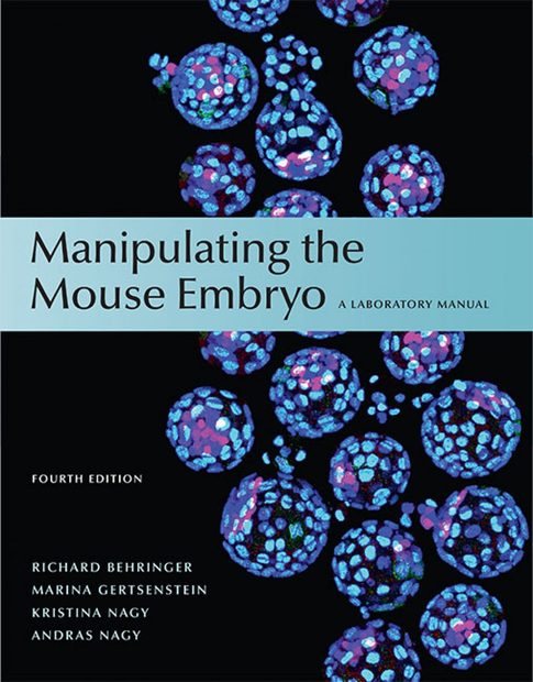 Manipulating the Mouse Embryo