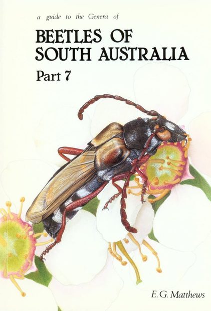 A Guide to the Genera of Beetles of South Australia, Part 7