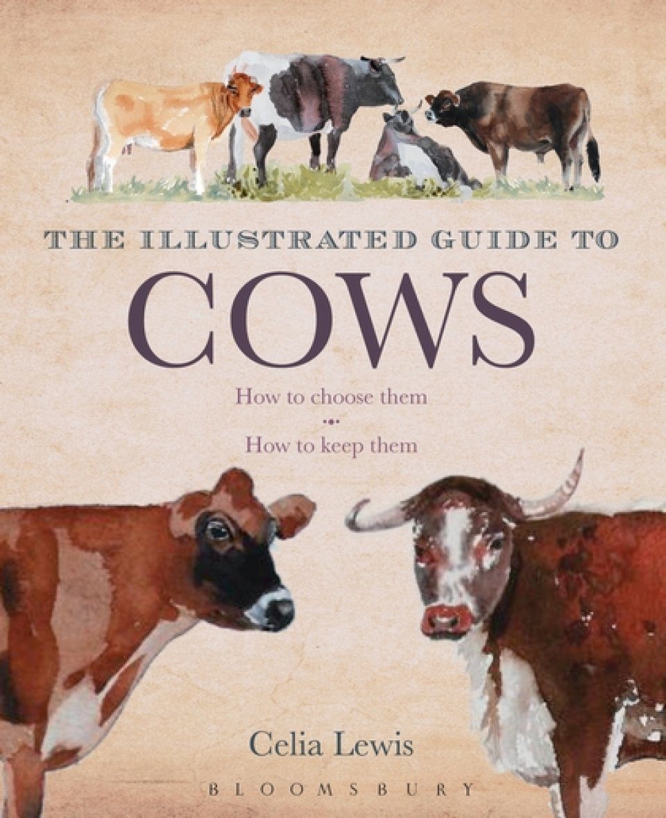 The Illustrated Guide To Cows How To Choose Them How To