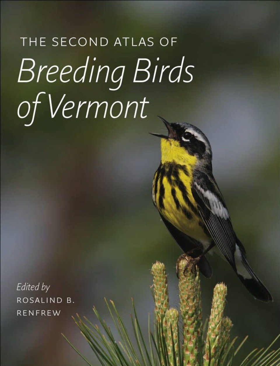 The Second Atlas Of Breeding Birds Of Vermont Nhbs