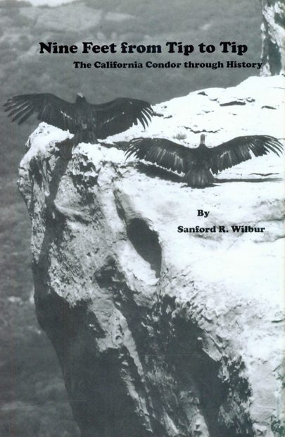 Nine Feet from Tip to Tip