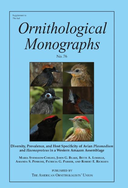Diversity, Prevalence, and Host Specificity of Avian Plasmodium and Haemoproteus in a Western Amazon