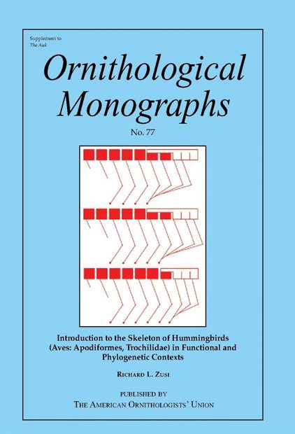 Introduction to the Skeleton of Hummingbirds (Aves: Apodiformes, Trochilidae) in Functional and Phylogenetic Contexts