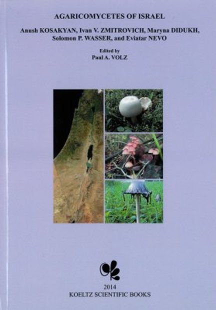 Agaricomycetes of Israel
