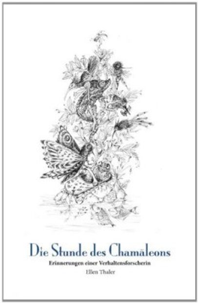 Die Stunde des Chamäleons