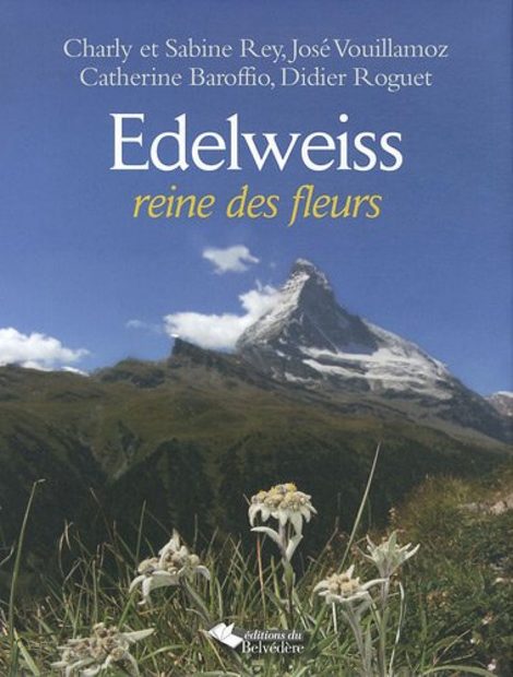 Edelweiss: Reine des Fleurs