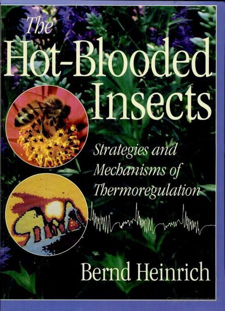 The Hot-Blooded Insects