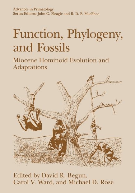 Function, Phylogeny, and Fossils