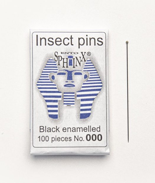 Black Enamelled Insect Pins