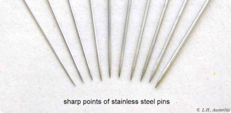 Stainless Steel Insect Pins Size 5