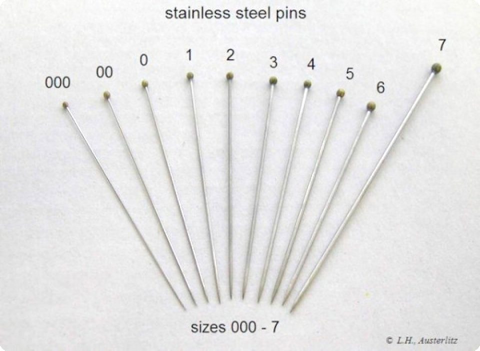 Insect Mounting Pins size 6 