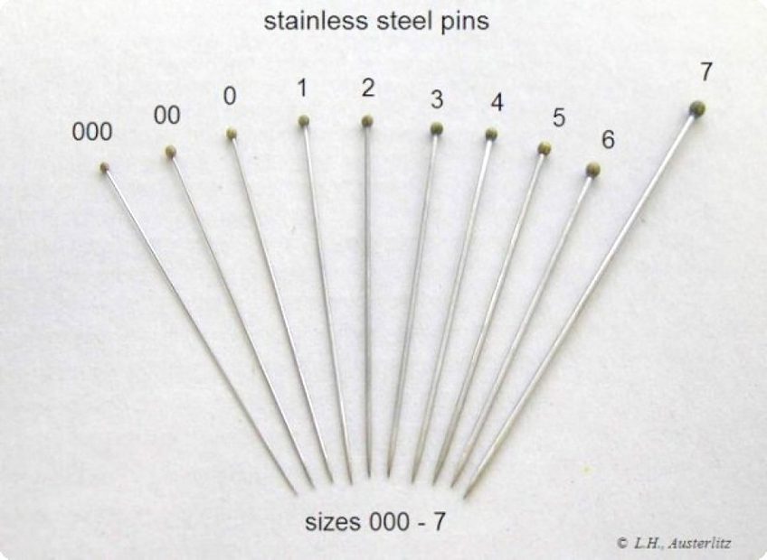 Stainless Steel Insect Pins